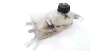 Recambio de deposito expansion para renault scenic iii 2009-2016 grand selection referencia OEM IAM 217100005R  