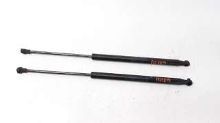 Recambio de amortiguadores maletero / porton para fiat nuova 500 (150) 2007- lounge referencia OEM IAM 0051785412  