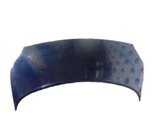 Recambio de capo para renault scenic ii 2003-2009 confort expression referencia OEM IAM 7751474289 RN0323100 109194430