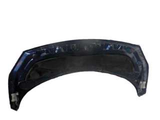 Recambio de capo para renault scenic ii 2003-2009 confort expression referencia OEM IAM 7751474289 RN0323100 109194430