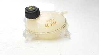 Recambio de deposito expansion para renault clio iv 2012- 1.5 dci diesel fap referencia OEM IAM 217107259R  