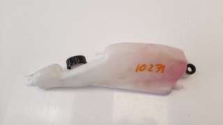 Recambio de deposito expansion para kawasaki z 750 / z 1000 2002-2014 z 750 referencia OEM IAM 430780033  
