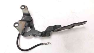 Recambio de retenedor puerta para bmw serie 1 berlina (e81/e87) 2004-2012 116i referencia OEM IAM 7060559  