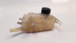 Recambio de deposito expansion para renault megane iii berlina 5 p 2008-2016 limited referencia OEM IAM 217100005R 485712 