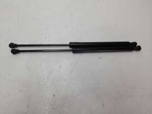 Recambio de amortiguadores maletero / porton para dacia sandero 2012- 1.5 dci diesel fap cat referencia OEM IAM 904529943R  
