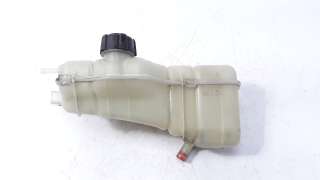 Recambio de deposito expansion para nissan pulsar (c13) 2014-2018 1.2 16v cat referencia OEM IAM 217113ZN0A  