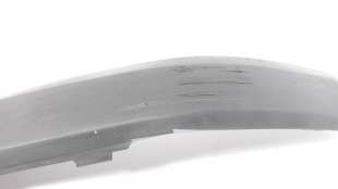 Recambio de molduras delanteras para ford fusion (cbk) 2002-2013 1.4 tdci cat referencia OEM IAM 6N1117D750  FD3521244 2