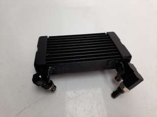 Recambio de radiador aceite para ducati scrambler 1100 2017- scrambler 1100 referencia OEM IAM 54841171A  