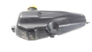 Recambio de deposito limpia para dacia sandero 2012- 1.5 dci diesel fap cat referencia OEM IAM 289109345R   2