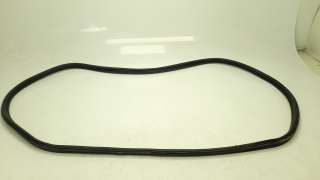 Recambio de gomas contorno puerta para ford ecosport (cr6) 2017- titanium referencia OEM IAM   