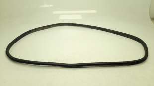 Recambio de gomas contorno puerta para ford ecosport (cr6) 2017- titanium referencia OEM IAM    2