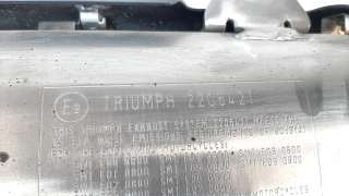 Recambio de tubo escape trasero para triumph tiger 800 2018- tiger 800 xca referencia OEM IAM T2205421  