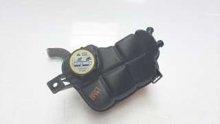 Recambio de deposito expansion para land rover freelander (lr2) 2007-2014 2.2 td4 cat referencia OEM IAM 6G918K218D2L4A  