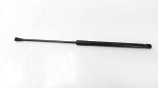 Recambio de amortiguadores capo para lexus rx 2009-2015 3.5 v6 24v cat referencia OEM IAM 534500W170  