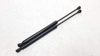 Recambio de amortiguadores maletero / porton para dacia sandero 2012- referencia OEM IAM 904514512R  