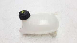 Recambio de deposito expansion para dacia sandero 2012- referencia OEM IAM 217102572R  