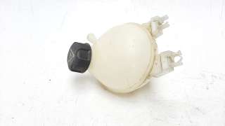 Recambio de deposito expansion para citroën c3 2009-2017 1.2 12v vti referencia OEM IAM 9800777280  