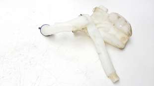 Recambio de deposito limpia para citroën c3 2009-2017 1.2 12v vti referencia OEM IAM 6431N6   2