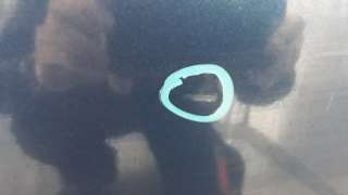 Recambio de puerta trasera izquierda para seat ibiza sc (6j1) 2008-2015 1.2 tsi referencia OEM IAM 6J4833055  