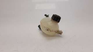 Recambio de deposito expansion para renault clio iv 2012- 0.9 referencia OEM IAM 217104354R 485806 