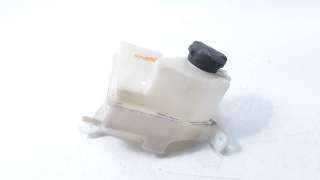 Recambio de deposito expansion para kia cee´d 2012-2018 1.4 crdi cat referencia OEM IAM 25430A2000  
