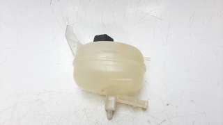 Recambio de deposito expansion para nissan micra v (k14) 2016- 0.9 cat referencia OEM IAM 217105FA0A  
