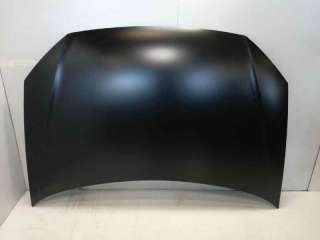 Recambio de capo para volkswagen polo (9n3) 2005-2010 referencia OEM IAM 6Q0823031 109233930 VG0223100