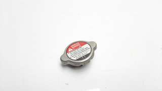 Recambio de deposito expansion para kawasaki z 900 2016- z 900 performance referencia OEM IAM 7Y29  