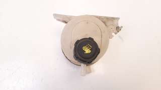 Recambio de deposito expansion para dacia duster 2010-2018 1.5 dci diesel fap cat referencia OEM IAM 8200766826  