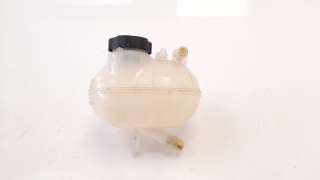 Recambio de deposito expansion para jeep renegade 2014- 1.0 t-gdi cat referencia OEM IAM 520977460  