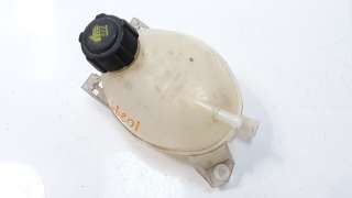 Recambio de deposito expansion para renault clio iv 2012- 1.2 16v referencia OEM IAM 217107259R  