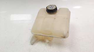 Recambio de deposito expansion para ford focus lim. (cb8) 2010-2015 edition referencia OEM IAM 8V618K218DE  