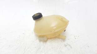 Recambio de deposito expansion para ford ka+ 2016- 1.2 ti-vct cat (3 cil.) referencia OEM IAM 2066919  487095