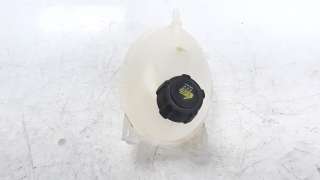 Recambio de deposito expansion para dacia dokker 2012- 1.5 dci diesel fap cat referencia OEM IAM 217104354R  