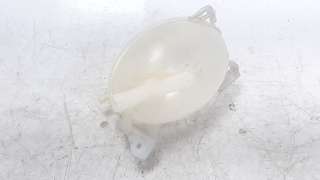 Recambio de deposito expansion para dacia dokker 2012- 1.5 dci diesel fap cat referencia OEM IAM 217104354R  