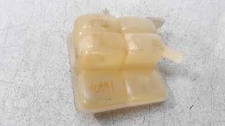 Recambio de deposito expansion para ford kuga (cbs) 2012- 2.0 tdci cat referencia OEM IAM 8V618K218AE  