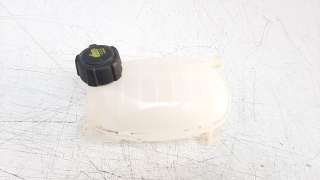 Recambio de deposito expansion para dacia sandero 2012- 0.9 tce cat referencia OEM IAM 217102572R  