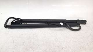 Recambio de amortiguadores maletero / porton para volkswagen tiguan 2016- 2.0 tdi referencia OEM IAM 5NA827428  