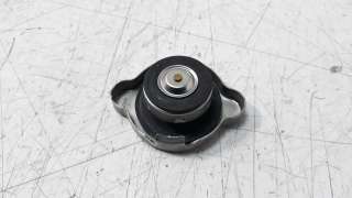 Recambio de radiador agua para kawasaki z 900 2016- z 900 referencia OEM IAM 490850006  