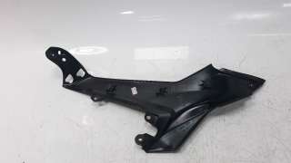 Recambio de moldura para kawasaki ninja 650 2016- referencia OEM IAM 360010651  