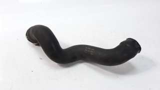 Recambio de tubo para audi a4 avant (b5) 1999-2001 1.9 tdi referencia OEM IAM 058145856K  522513