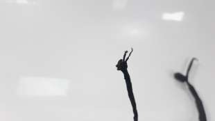 Recambio de modulo electronico para bmw f 800 gt 2013- referencia OEM IAM 61117680873   2