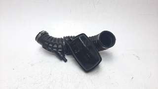 Recambio de tubo para nissan pathfinder (r51) 2005-2016 2.5 dci diesel cat referencia OEM IAM 16576EB300  