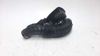 Recambio de tubo para nissan pathfinder (r51) 2005-2016 2.5 dci diesel cat referencia OEM IAM 16576EB300  