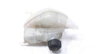 Recambio de deposito expansion para nissan qashqai (j11) 2013- 1.2 16v cat referencia OEM IAM 217114EA0A  