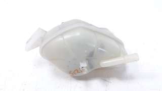 Recambio de deposito expansion para nissan qashqai (j11) 2013- 1.2 16v cat referencia OEM IAM 217114EA0A  