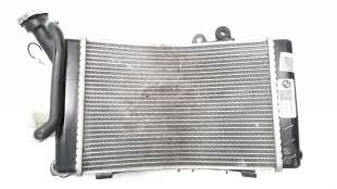 Recambio de radiador agua para bmw f 900 xr 2019- referencia OEM IAM 17119898404  