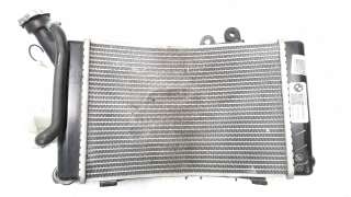 Recambio de radiador agua para bmw f 900 xr 2019- referencia OEM IAM 17119898404  
