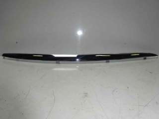 Recambio de molduras delanteras para volkswagen jetta (1k2) 2005-2010 referencia OEM IAM  107233819 