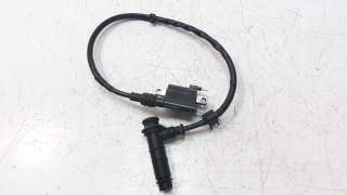 Recambio de bobina encendido para honda nc 750 2016- nc 750 x referencia OEM IAM 30511MKWD01  